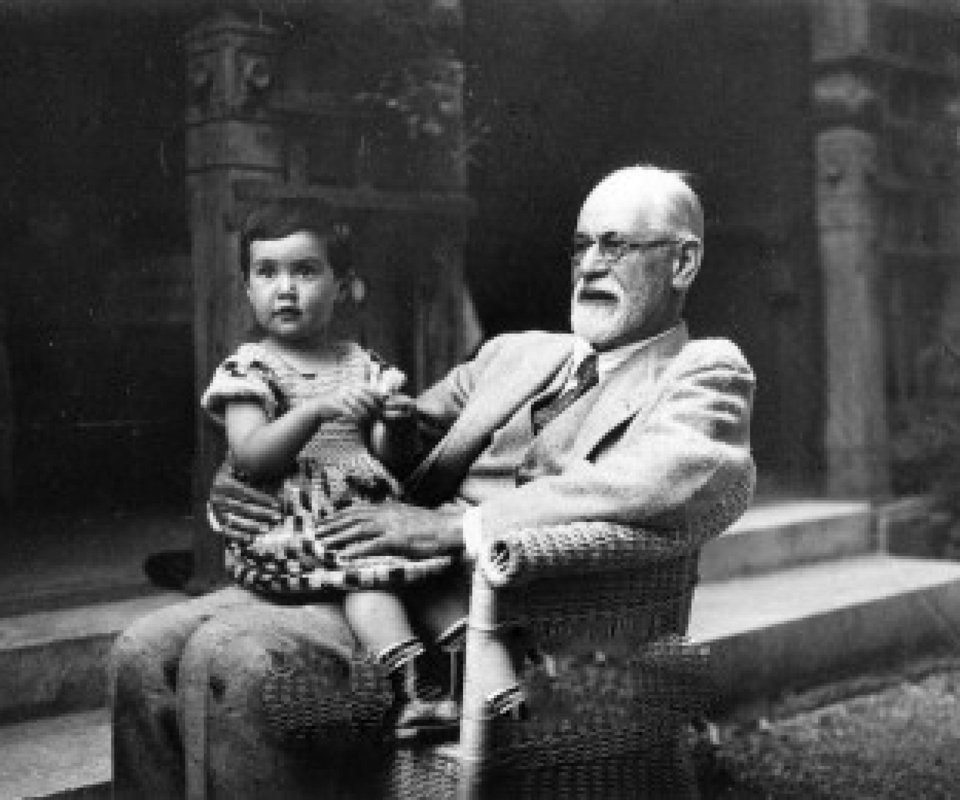 M. Schur "Il caso Freud - Una biografia scritta dal suo medico"